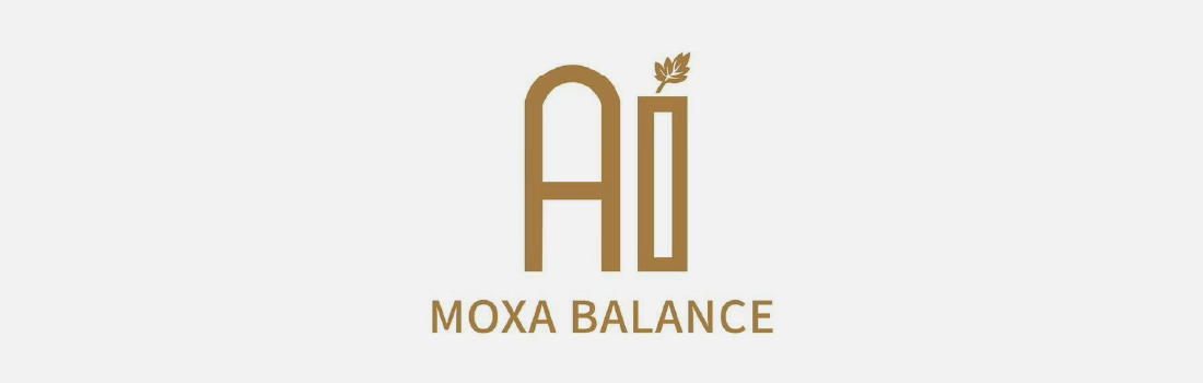 AI Moxa Balance 10% off with SDC